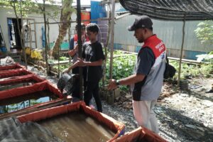 Pertamina