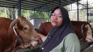 Pemkot Balikpapan