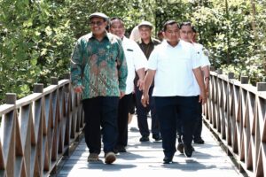 ekowisata mangrove PPU