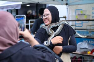 Pameran reptil IKN