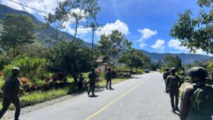 Satgas Damai Cartenz