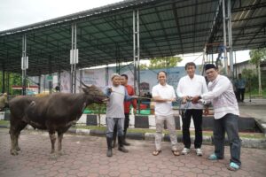 PLN UID Kaltimra