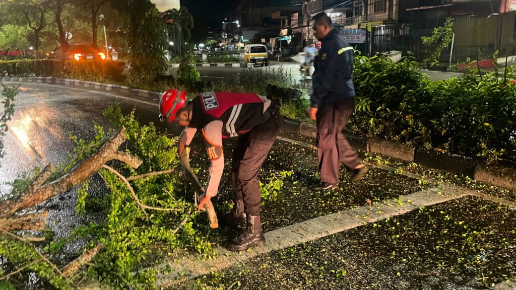Pohon Tumbang