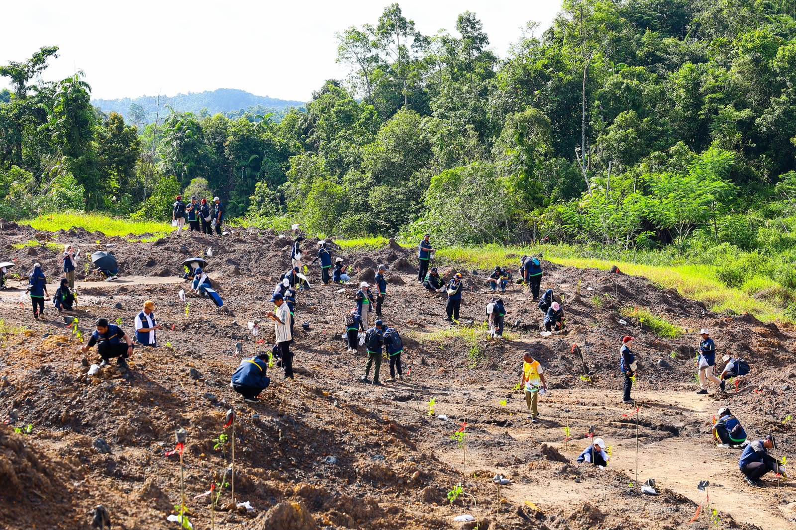Hutan Bukit Soeharto