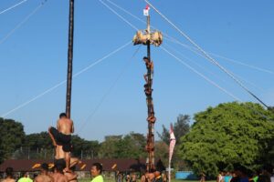 Panjat pinang