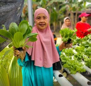 Kebun Gizi Lansia