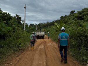 PLN