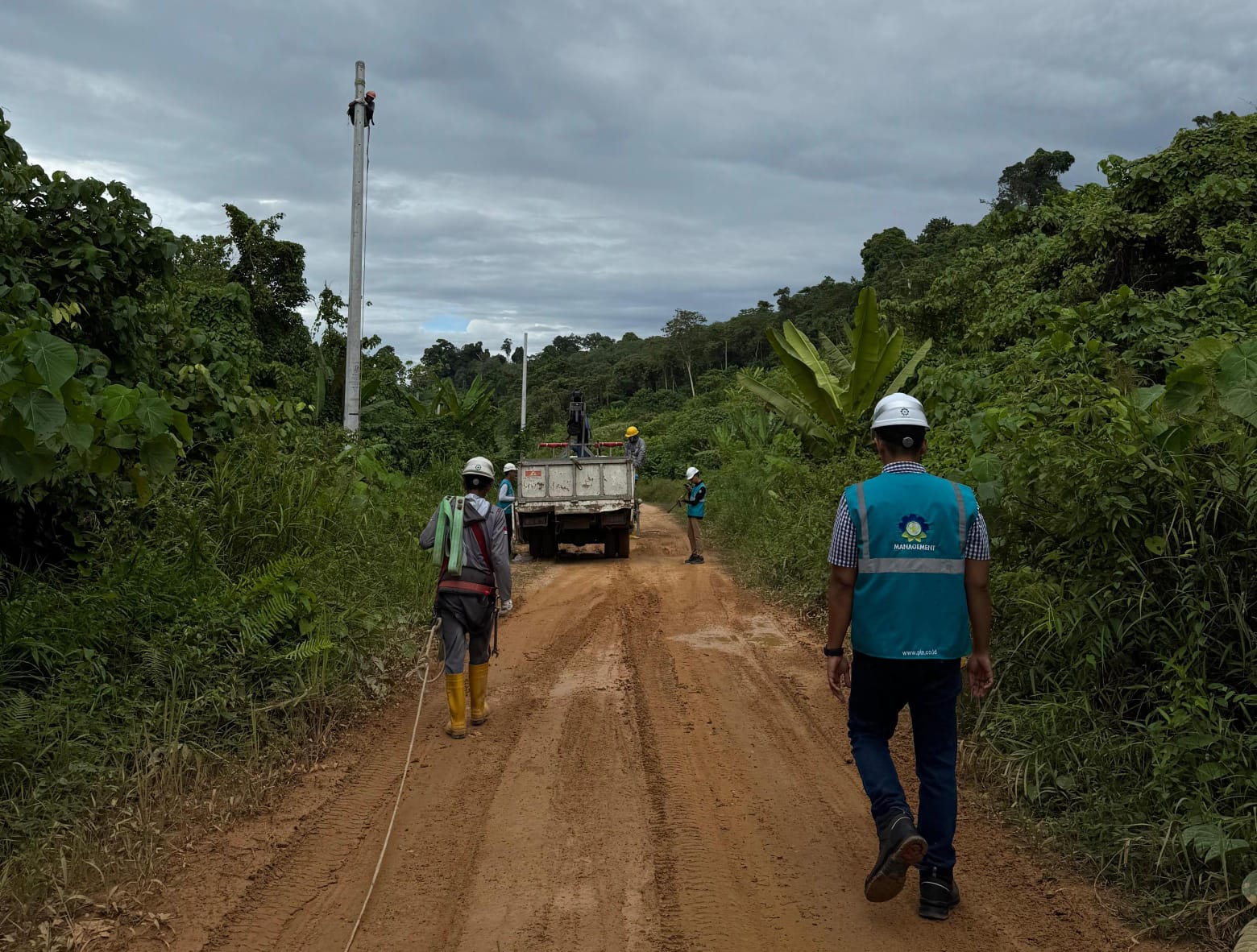PLN
