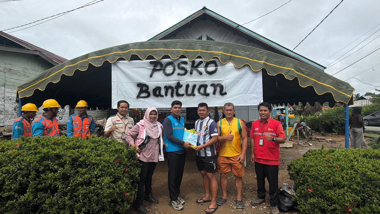 YBM PLN