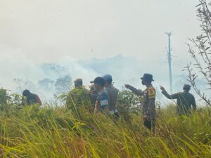 karhutla