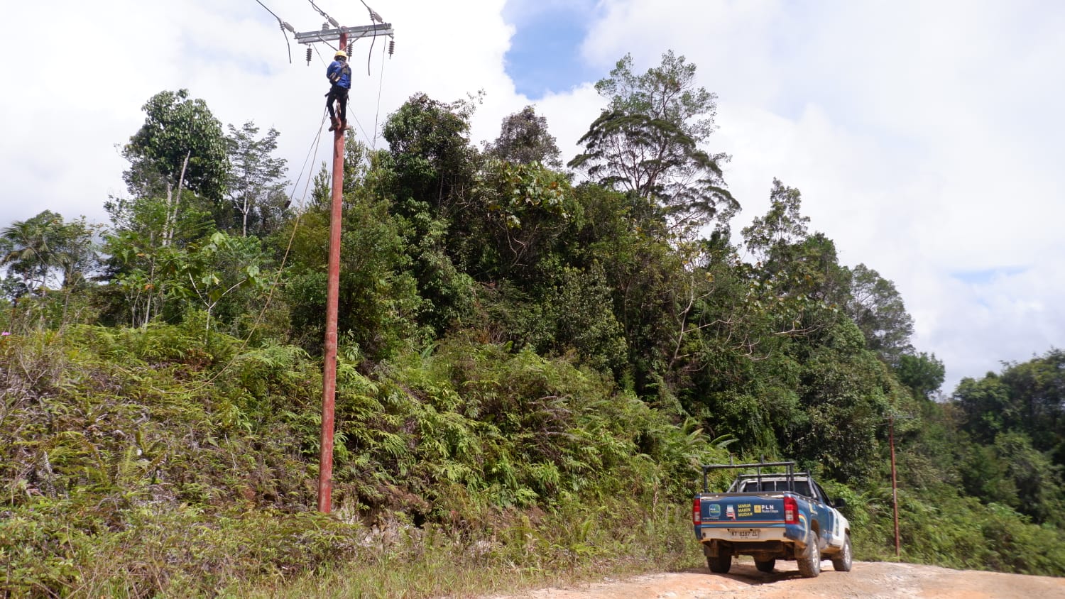 PLN