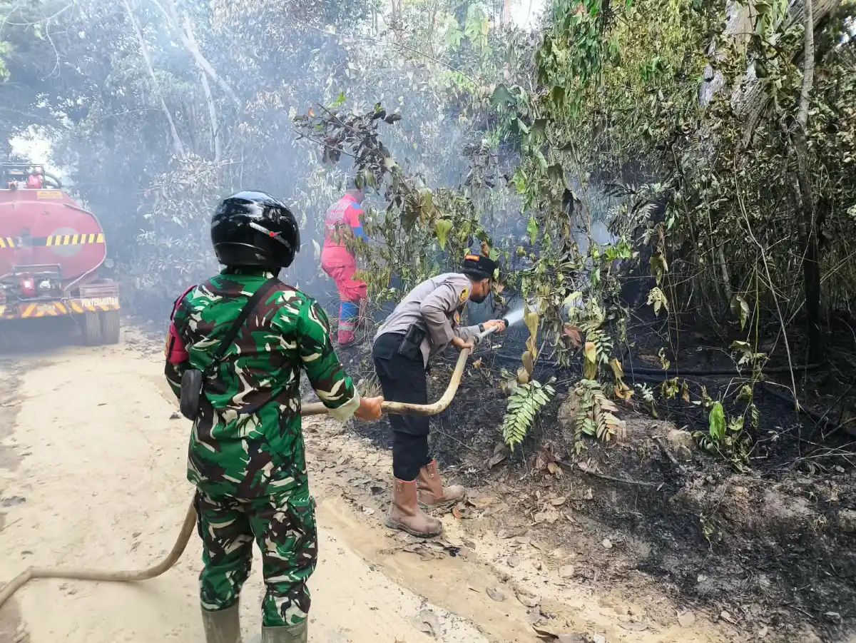 Kebakaran Lahan