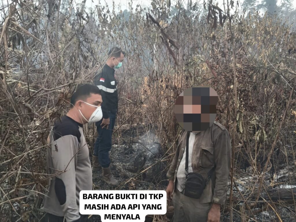Karhutla