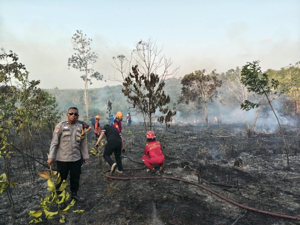 Karhutla Balikpapan
