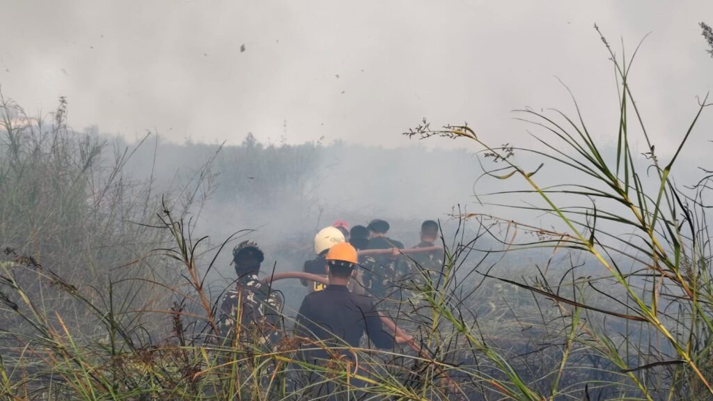 Kebakaran Lahan Gambut