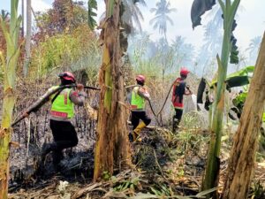 Patroli Hotspot Karhutla Paser