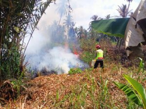 Kebakaran Lahan Gambut
