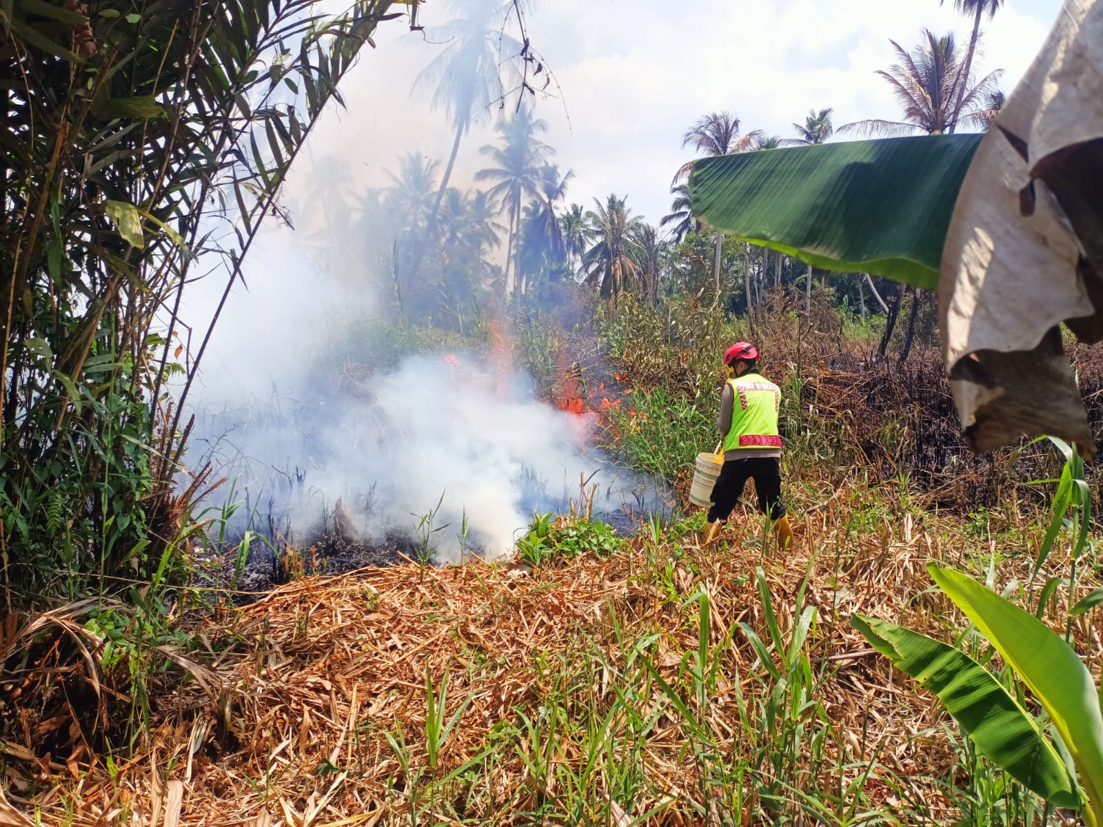 Kebakaran Lahan Gambut