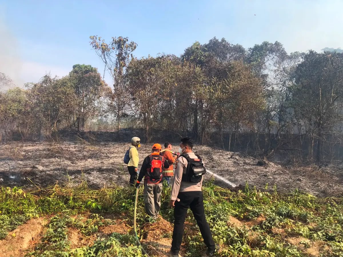 Kebakaran Lahan