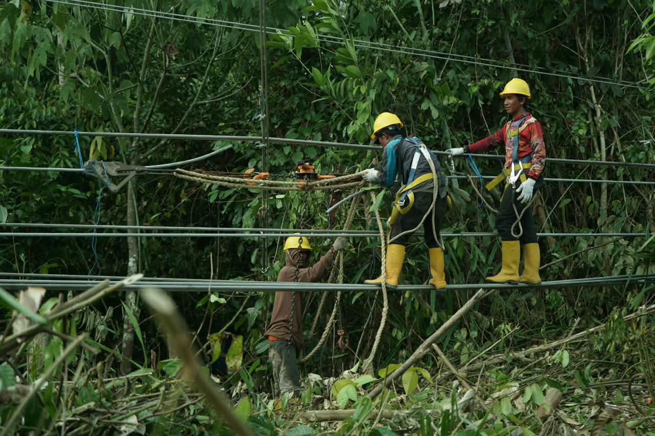 PLN